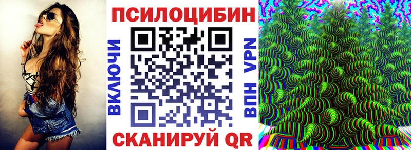 Купить закладки  Пермь  Псилоцибиновые грибы мицелий 